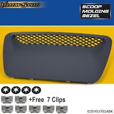 New Hood Scoop Insert Paint To Match Fit For 04-05 Dodge Ram 1500 SRT-10 SRT10 picture