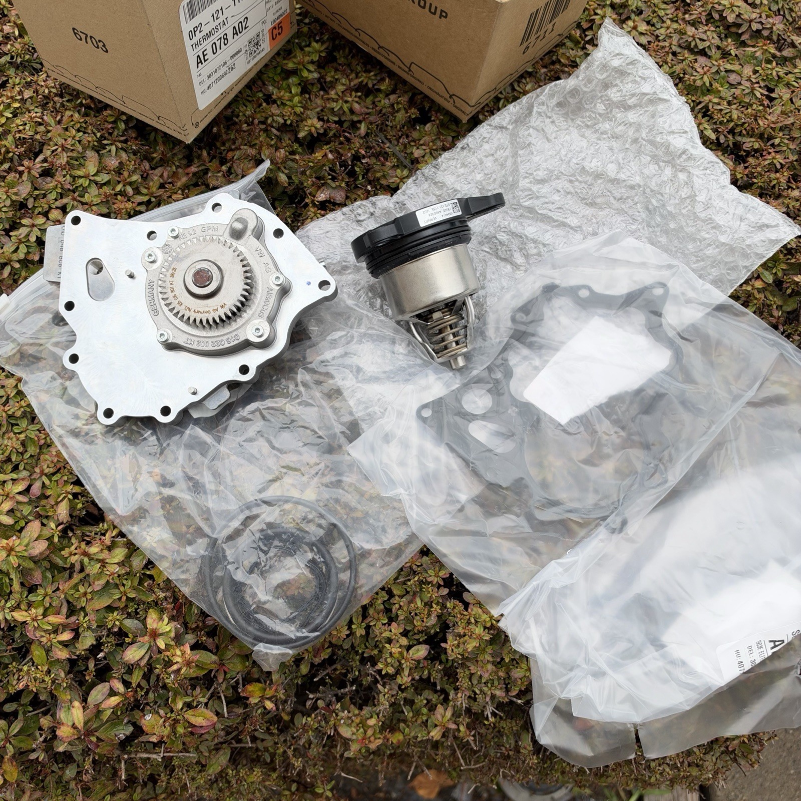 Lamborghini Urus Thermostat & Water Pump