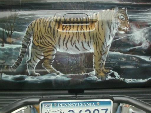 Custom Paint
