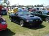 Unknow Year Mustang