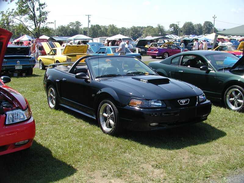 Unknow Year Mustang
