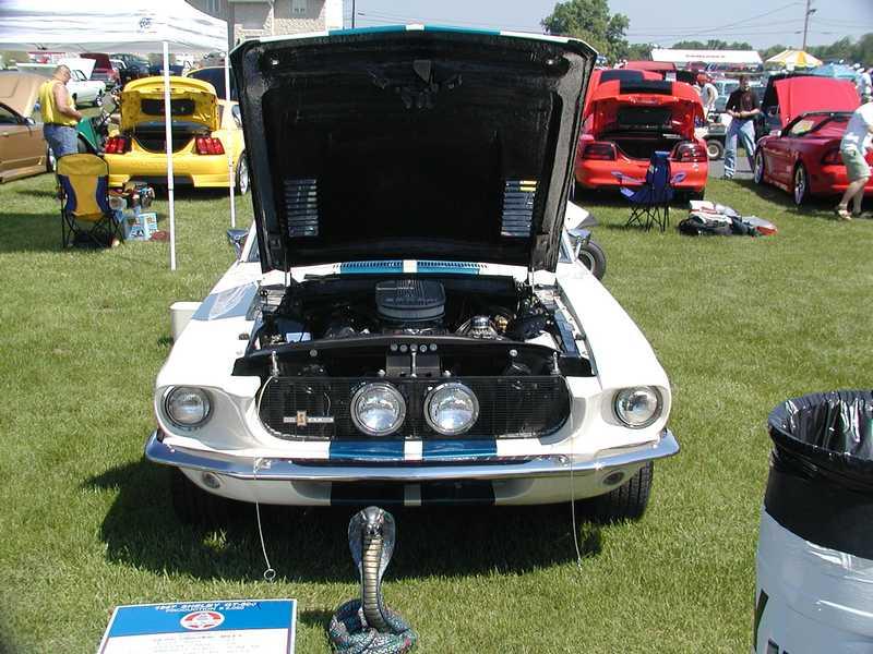 '67 Shelby