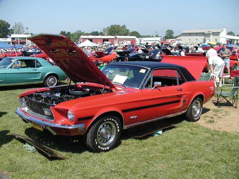 California Cruiser Mustang