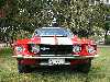 '67 Shelby