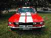 1967 Mustang Shelby