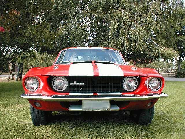 1967 Mustang Shelby