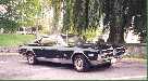 1968 cougar gte--w/427
