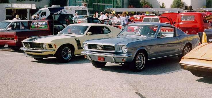 Two Mustangs