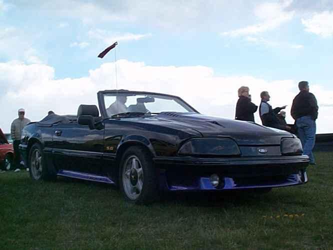 Mustang