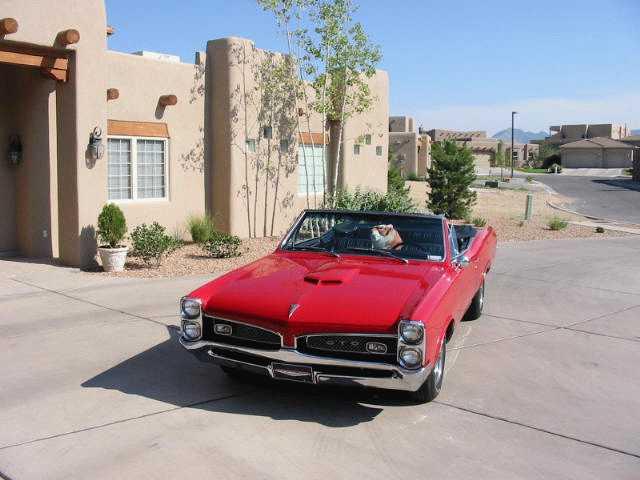 GTO