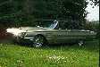 65' T Bird