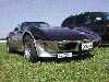 Pace car
