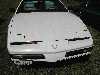 1982 Firebird