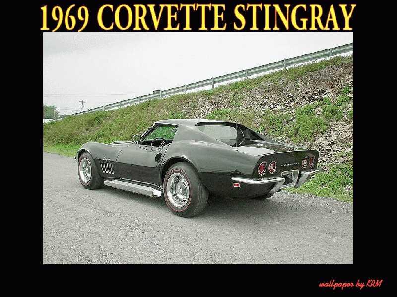 Stingray