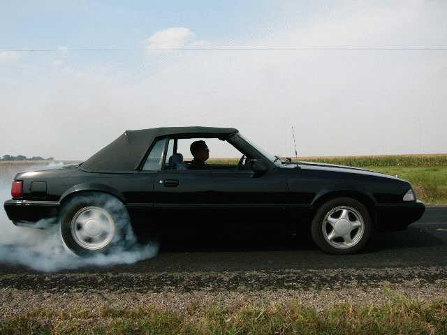 1988  Mustang