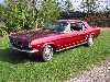 1966 Mustang