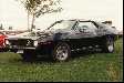 '74 Javelin
