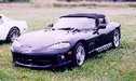 Viper