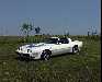 '80 Trans Am