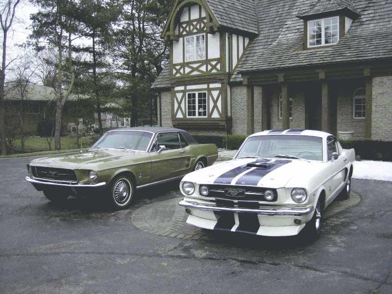 66 and 7 Mustangs