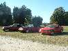 Mustangs