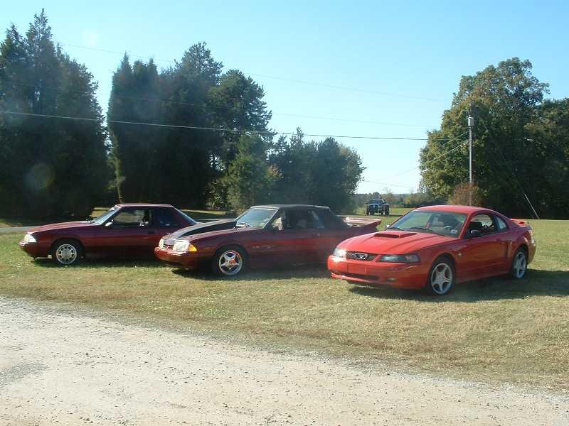 Mustangs