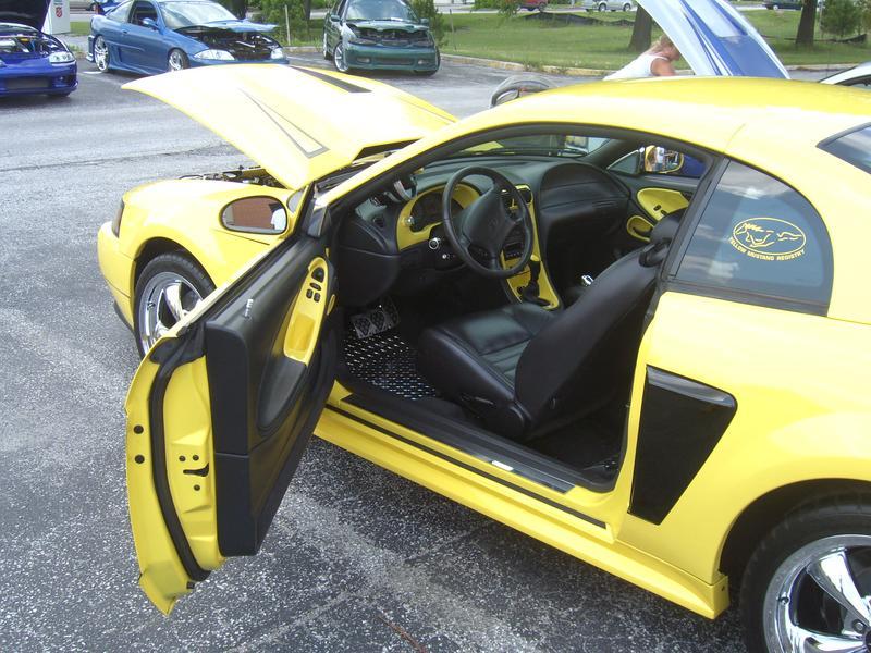 Unknown Year Mustang