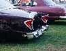 Fins